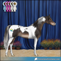 Horse Color:Liver Chestnut Tobiano 