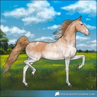 Horse Color:White Spotted Chestnut Tobiano 
