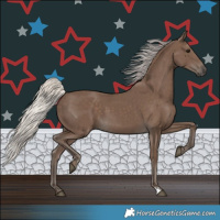 Horse Color:Silver Black 