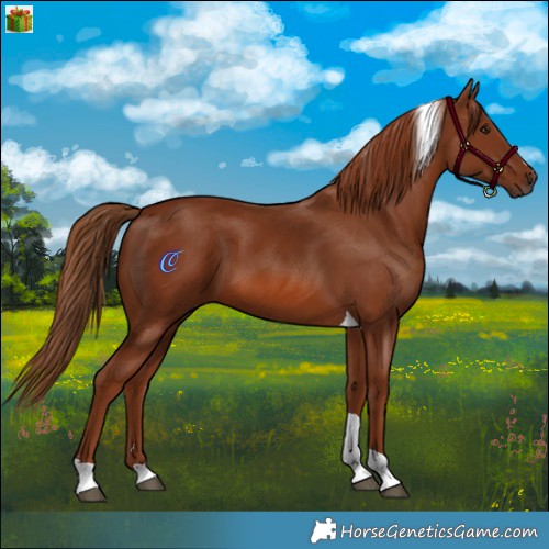 Horse Color:Chestnut Tobiano 