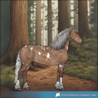 Horse Color:White Spotted Silver Bay Dun Tobiano Rabicano Brindle 