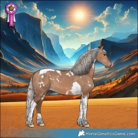 Horse Color:White Spotted Silver Bay Dun Tobiano