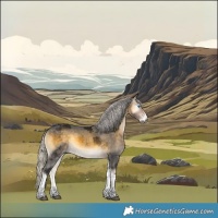 Horse Color:Gray Silver Buckskin Onyx Merle Splash Tobiano