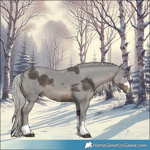 Horse Color:Silver Black Merle