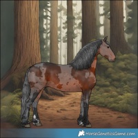 Horse Color:Brown Merle Rabicano 