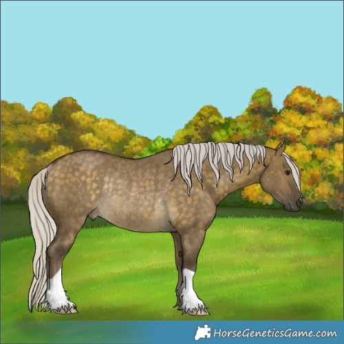 Horse Color:Silver Buckskin Dun Rabicano Brindle 