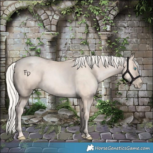 Horse Color:Gold Cream Champagne Pearl 
