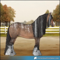 Horse Color:Powder White Brown Dun 