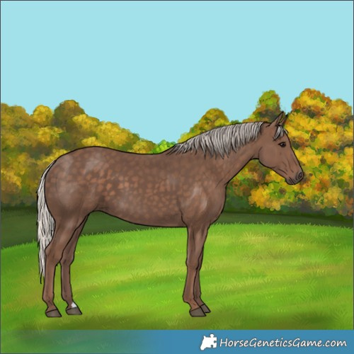 Horse Color:Silver Black 