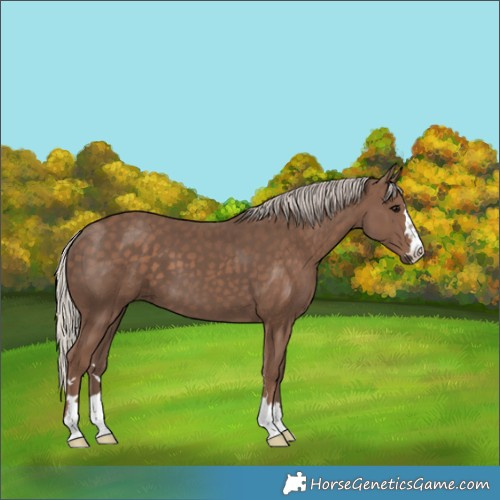 Horse Color:Silver Black 