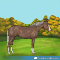 Horse Color:Silver Black 