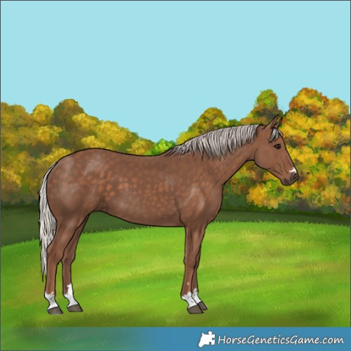 Horse Color:Silver Black 