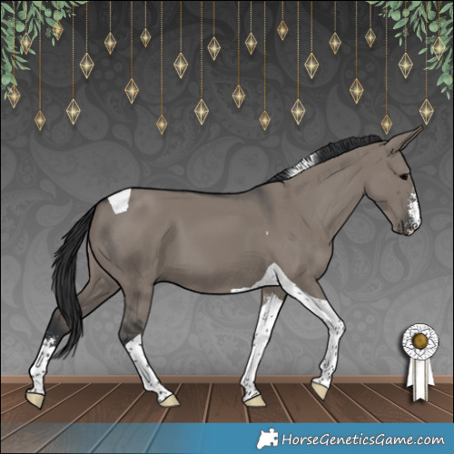 Horse Color:Grullo Sabino Tobiano 