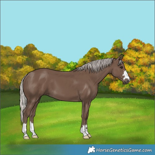 Horse Color:Silver Black 