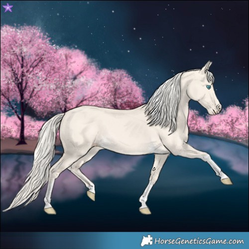 Horse Color:Cremello Dun Tobiano 
