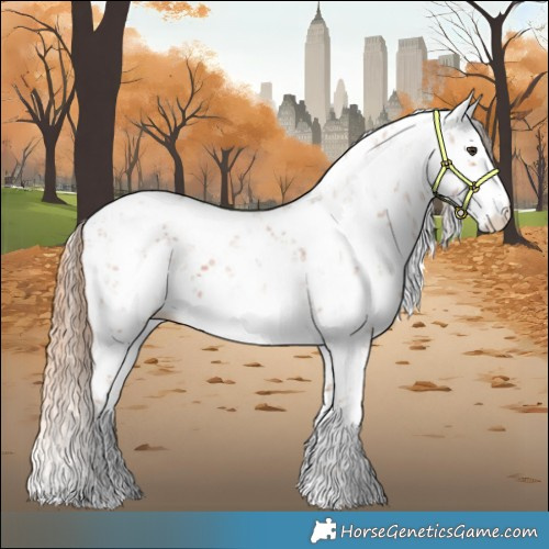 Horse Color:Chestnut Sabino 