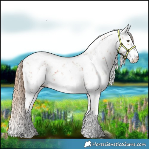 Horse Color:Chestnut Sabino 