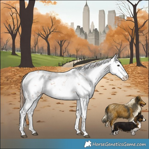 Horse Color:Chestnut Sabino
