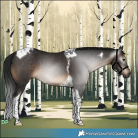 Horse Color:Gray Brown Tobiano