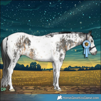 Horse Color:Gray Buckskin Sabino Tobiano  and Gray Buckskin Sabino Tobiano 