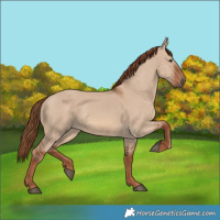 Horse Color:Red Dun