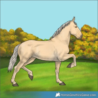 Horse Color:Palomino Dun 