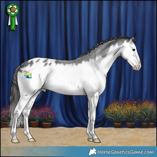Horse Color:Blue Roan Splash Frame Blanket 