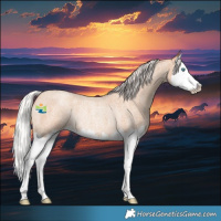 Horse Color:Silver Classic Champagne Roan Splash Rabicano 