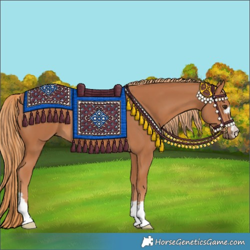 Horse Color:Chestnut 