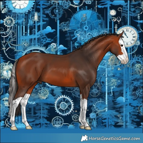 Horse Color:Bay Splash 