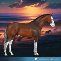 Horse Color:Bay Splash 
