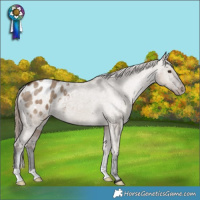 Horse Color:Liver Red Dun Varnish Brindle 