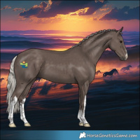 Horse Color:White Spotted Silver Black 