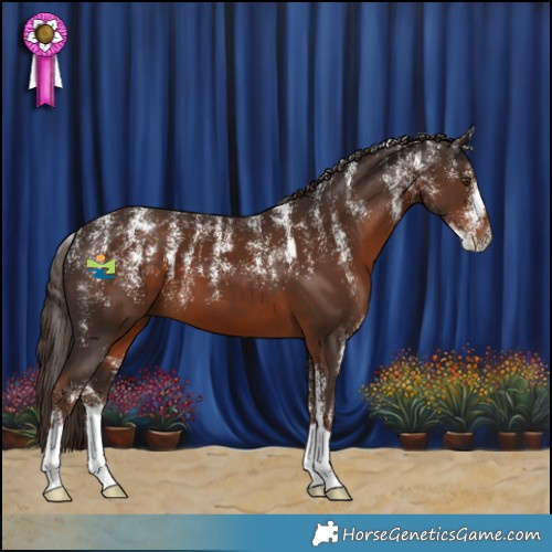 Horse Color:Powder White Liver Chestnut 