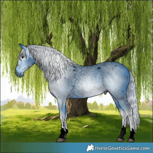 Horse Color:ERROR: UNKNOWN ANOMALY