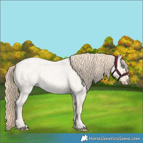 Horse Color:Perlino Roan