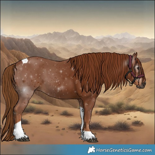 Horse Color:Gray Chestnut Tobiano