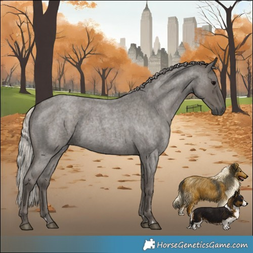 Horse Color:Silver Blue Roan 