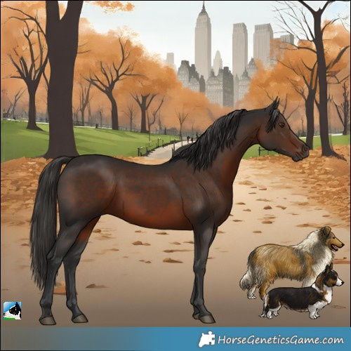 Horse Color:Gray Liver Chestnut Rabicano