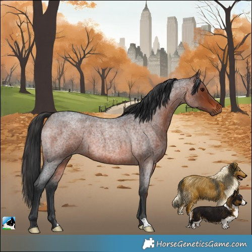 Horse Color:Brown Roan Rabicano 