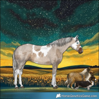 Horse Color:Silver Brown Dun Merle