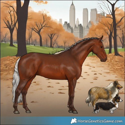 Horse Color:Silver Bay 