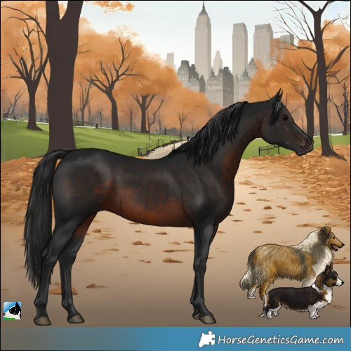 Horse Color:Gray Brown Rabicano