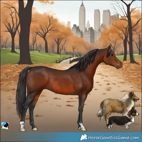 Horse Color:Brown Rabicano