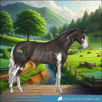Horse Color:Liver Chestnut Mushroom Sabino Rabicano 