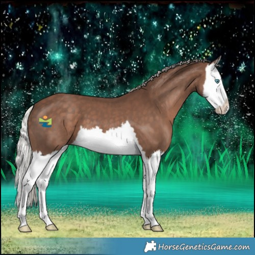 Horse Color:Silver Black Splash 