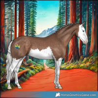 Horse Color:Silver Black Splash 
