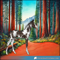 Horse Color:White Spotted Liver Chestnut