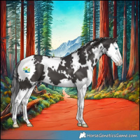 Horse Color:White Spotted Smoky Black Splash 