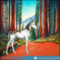 Horse Color:White Spotted Silver Buckskin Splash 